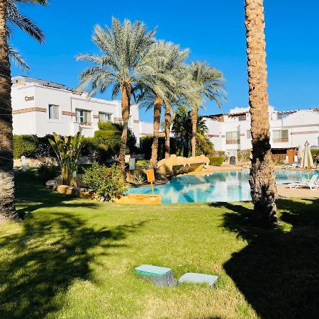 Appartement Sunterra Sharm Extérieur photo